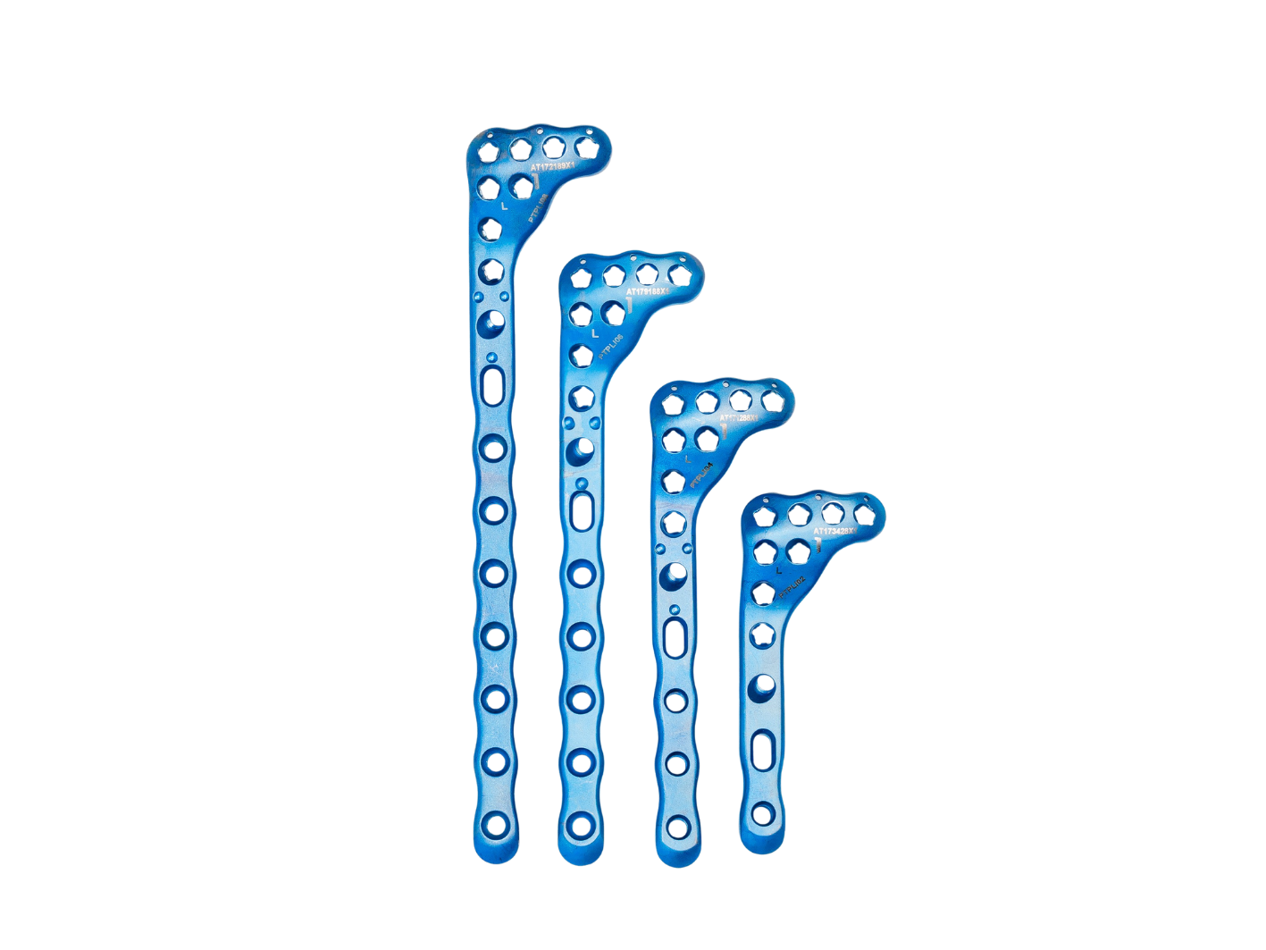 Affinity Tibia Proximal - Imagen 5